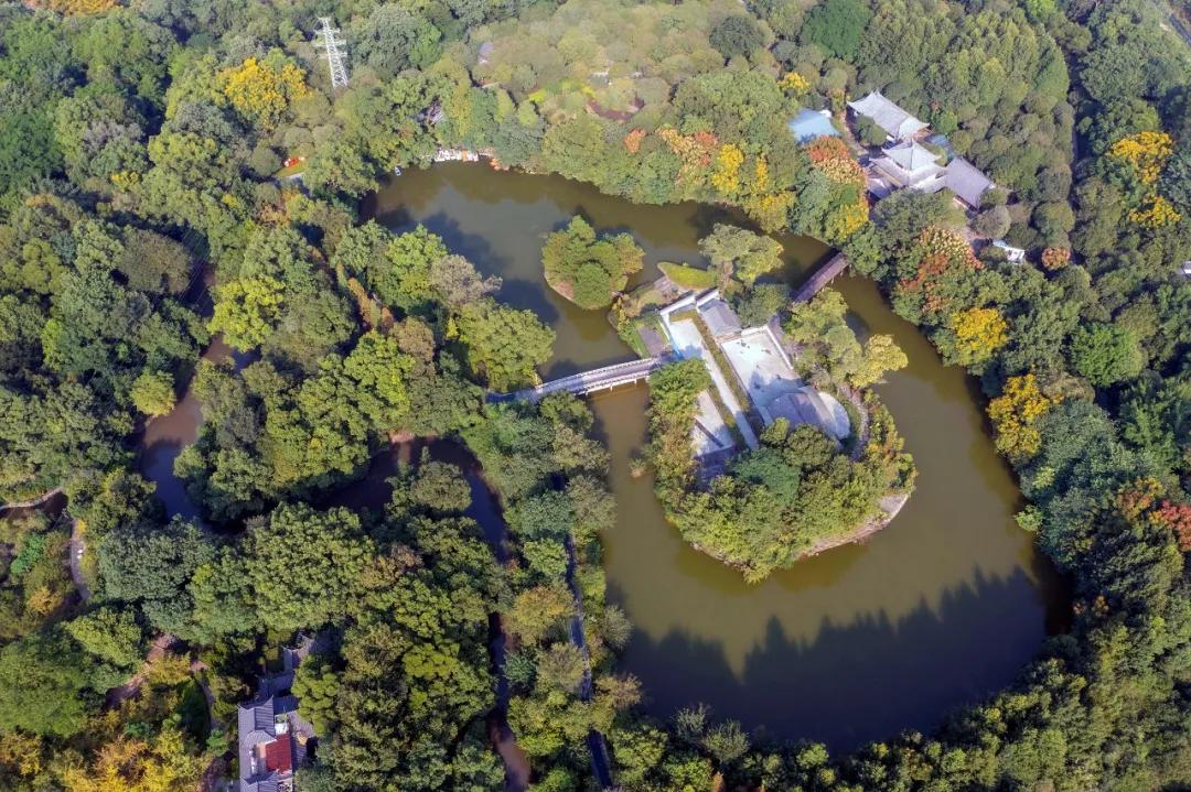 住进风景里的酒店,住进森系酒店