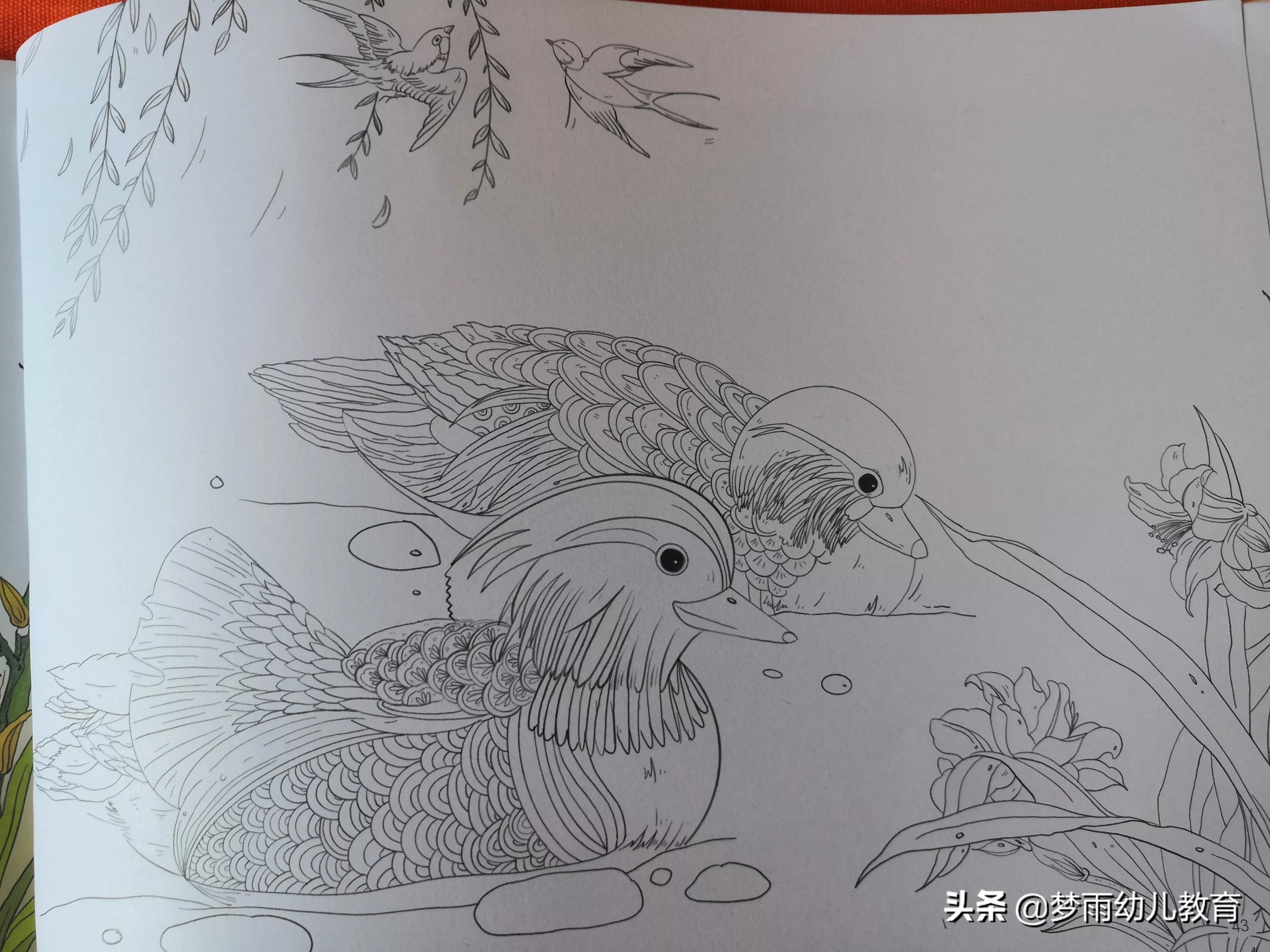 孩子学画画的苦恼,孩子画画也是一种解压方式