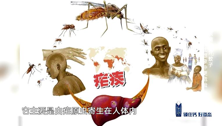 蚊子叮人对血型有要求,蚊子叮人要分血型吗