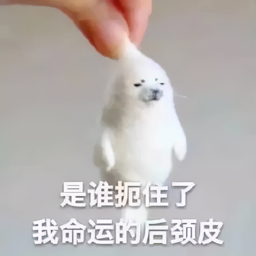 微信扫码转账后悔后怎么撤回,转账超24还能撤回吗