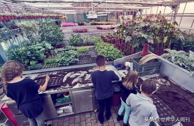 赵文卓女儿的学校,赵文卓女儿400万学费