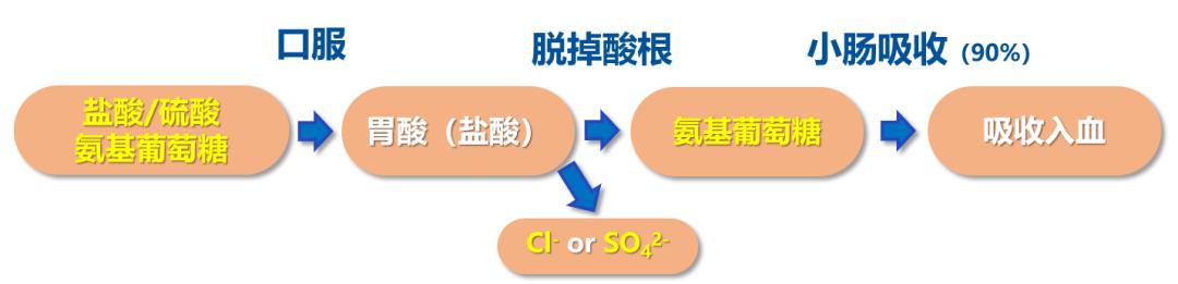 氨糖治疗骨关节炎哪一种氨糖好,骨关节炎用硫酸氨糖还是盐酸氨糖