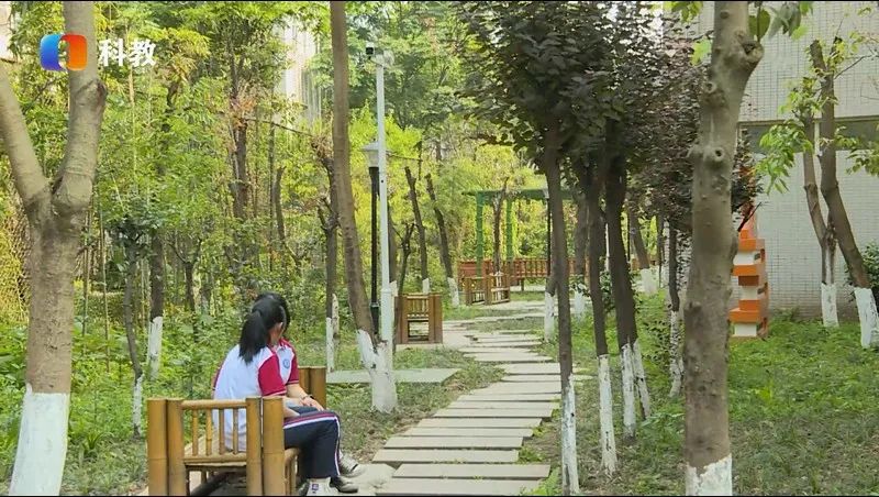 江津双福中学怎么样,重庆市江津区双福学校