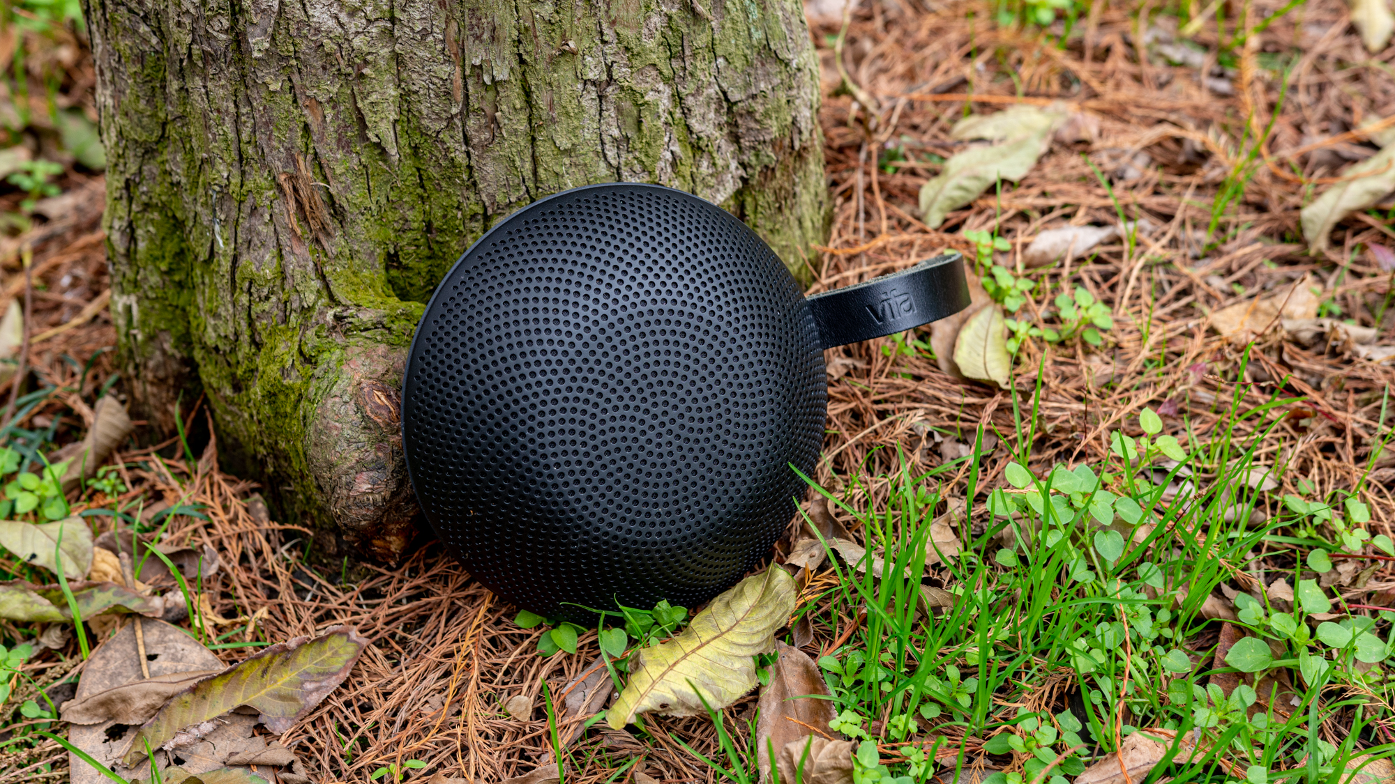 360环绕蓝牙音箱评测,vifa蓝牙音箱评测