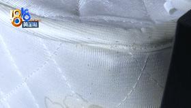 床上出现褐色小虫子书虱,背上长满小疙瘩是螨虫的房子吗