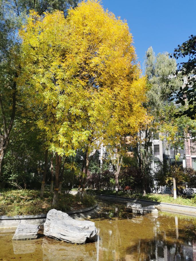 北京国奥村全景,北京国奥村房价多少钱一平方