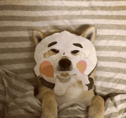 面膜买了一年了还能用吗,面膜买多了里面的精华怎么用