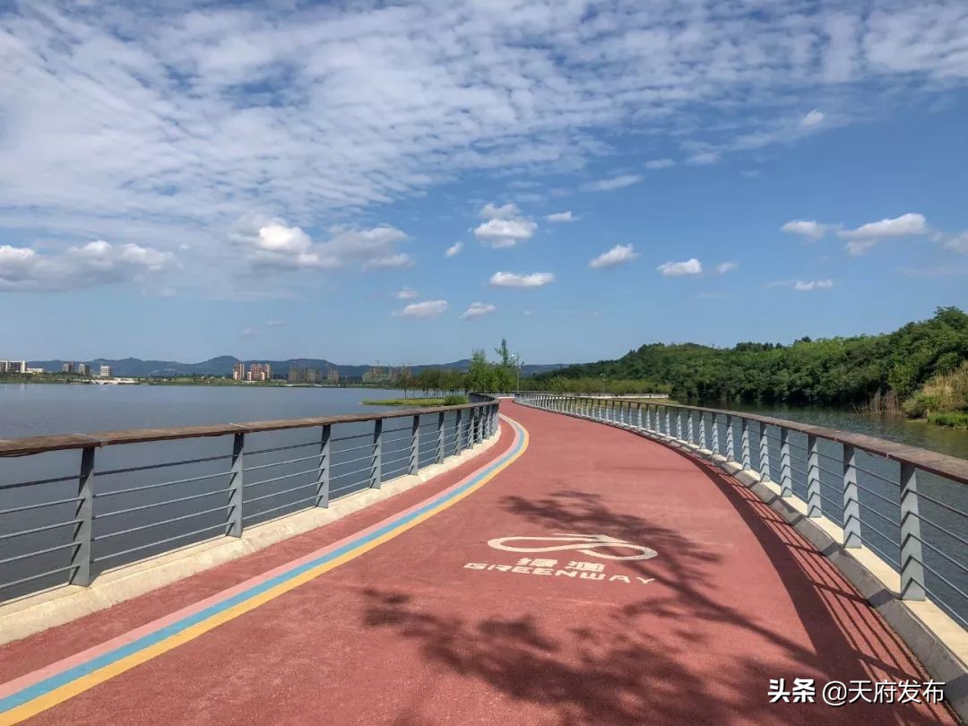 世警会游玩视频,世警会时间安排表