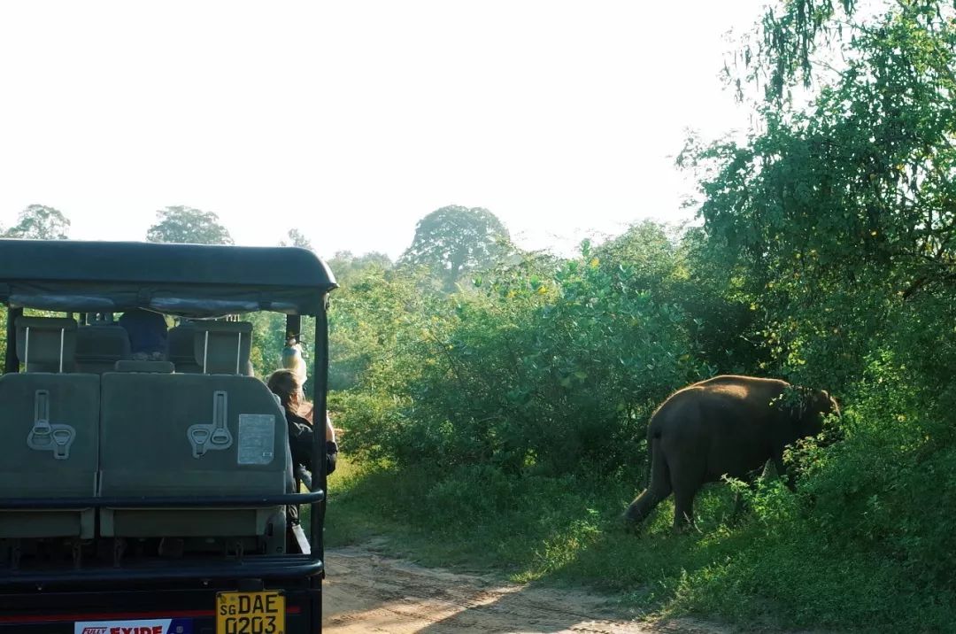 这个曾数次登上LP榜单的微笑国度，还有众多小众酒店值得睡