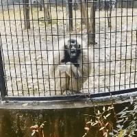 拔河比赛搞笑视频开心一刻,拔河搞笑动图