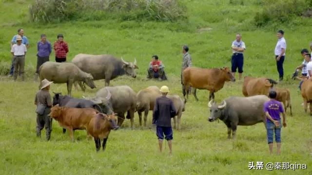 走进江西南昌视频,走进南昌市区