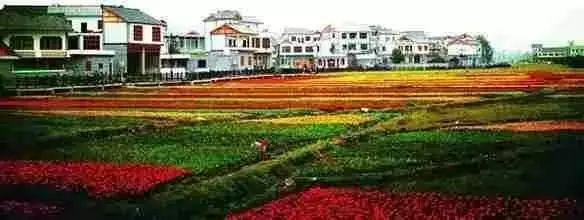 贵州最美农家乐,贵州这些藏在山间的诗意民宿