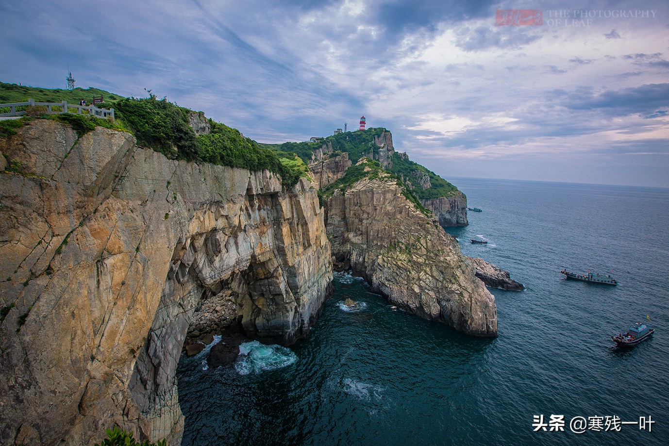 大黄鱼浙江人,浙江鱼民捕获8.7公斤野生大黄鱼
