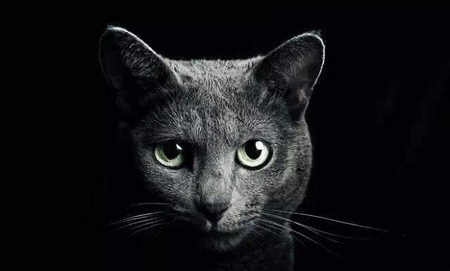 动物到底是怎么成精的,动物都是怎么成精的