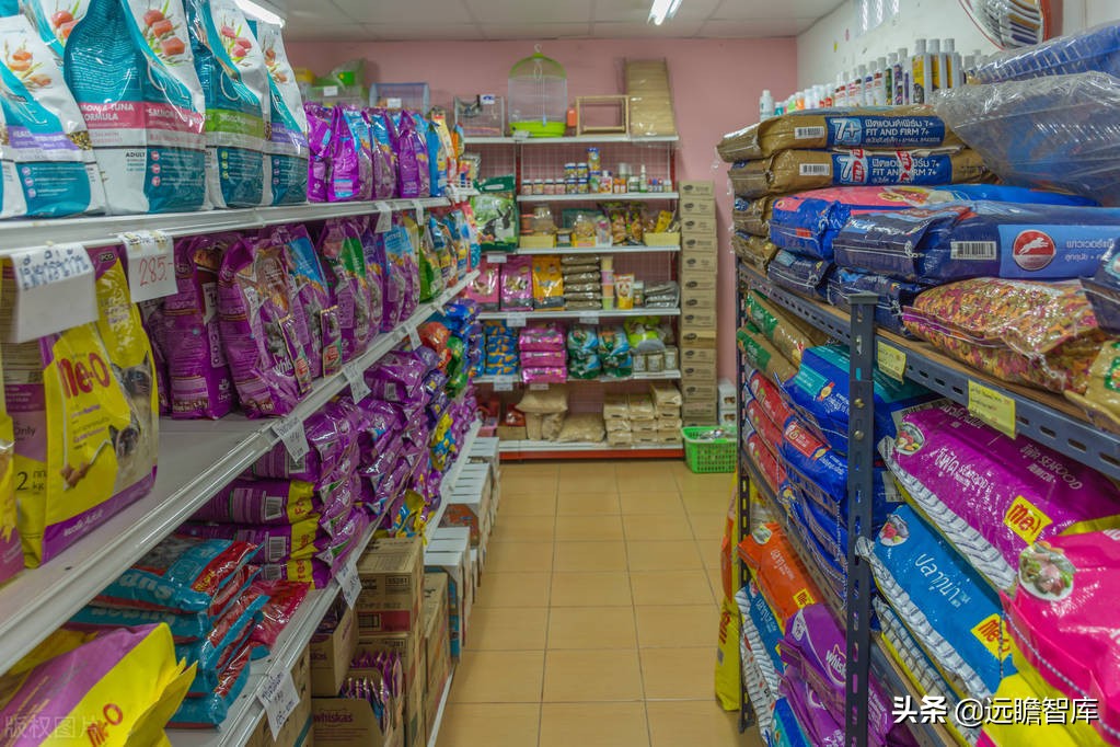 国内宠物产品研究现状及趋势分析,宠物行业新国货