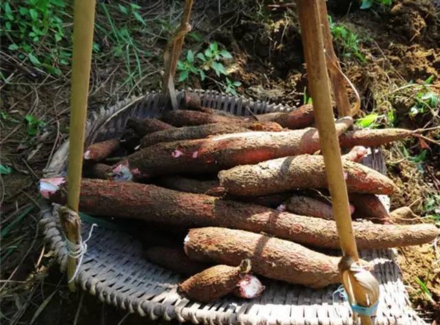 客家木薯粉块怎么吃,木薯粉怎么做出好吃的糖糕