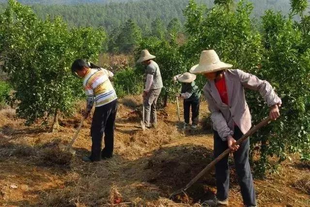 买的有机肥料为啥不溶水,为什么有的肥料很难溶