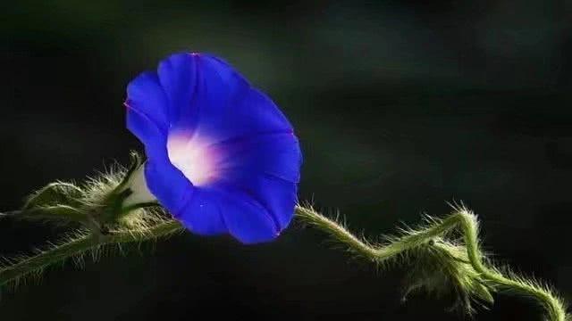 心理学通过穿衣服颜色看穿一个人,心理学怎样用颜色看透人心