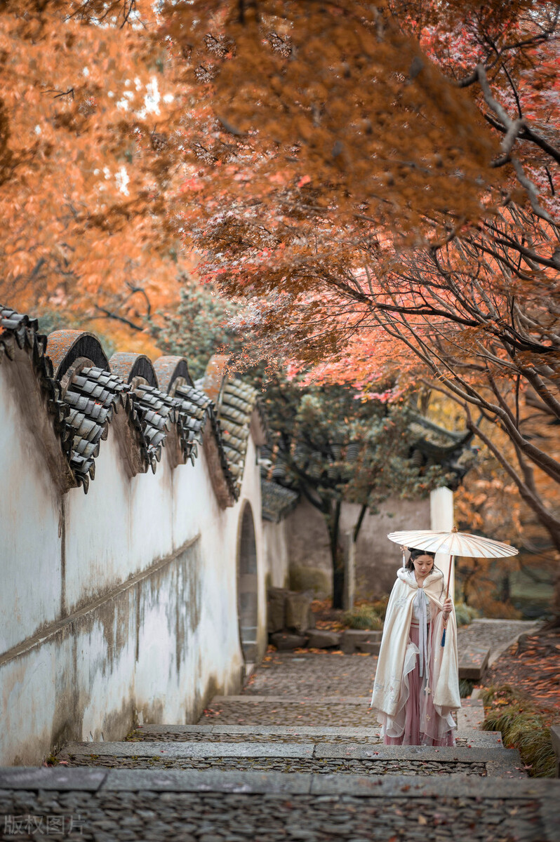 江南的秋天,温柔诗意,漫步姑苏城感受岁月静好,人间值得