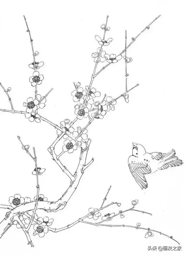 工笔梅花教学,工笔梅花设色技巧