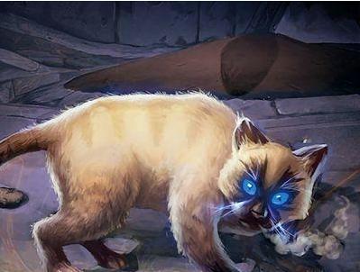 魔兽最不能惹的游戏玩家,魔兽世界十大谣言