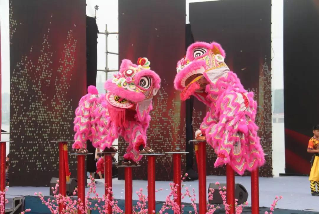 藤县狮王争霸赛时间,梧州狮王争霸赛