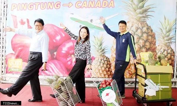 台湾菠萝滞销影响,台湾菠萝恢复进口