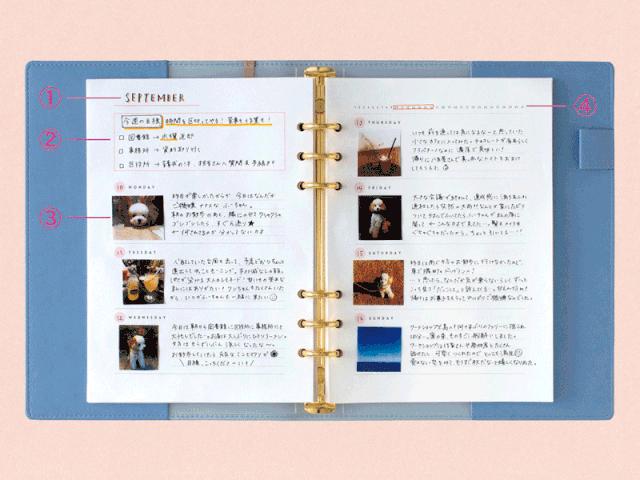 买的不仅是衣服还有快乐,买的不仅仅是礼物也是琐碎生活