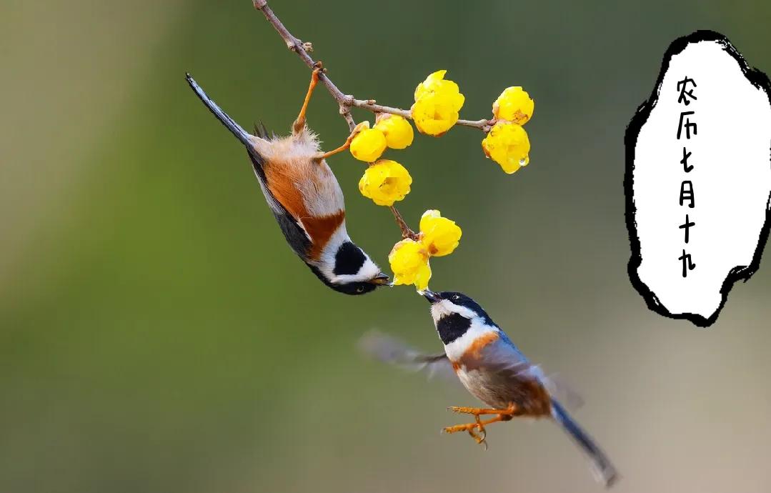 每日运势播报8月7号,78年属马2021每月运势及运程