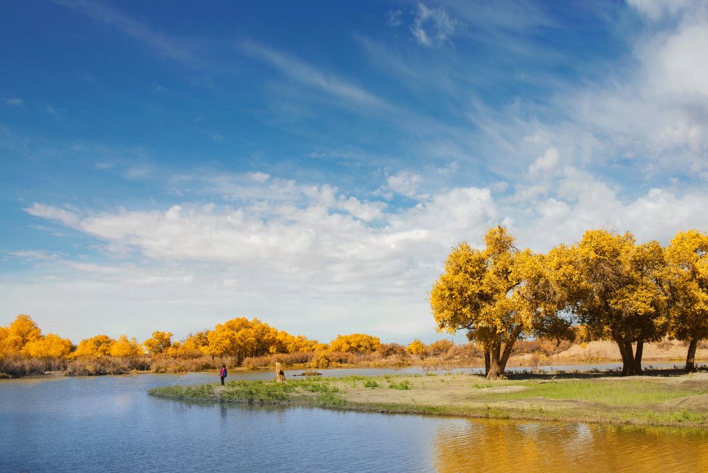 秋高气爽的成语故事,秋高气爽写秋天的词语有哪些