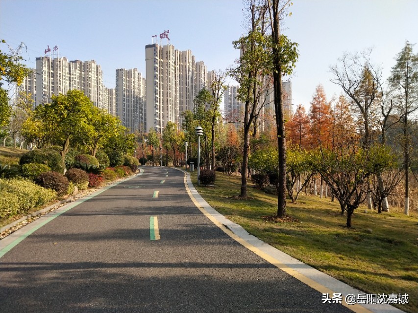 岳阳楼区哪个板块房产最便宜,岳阳湖滨新区哪个楼盘好