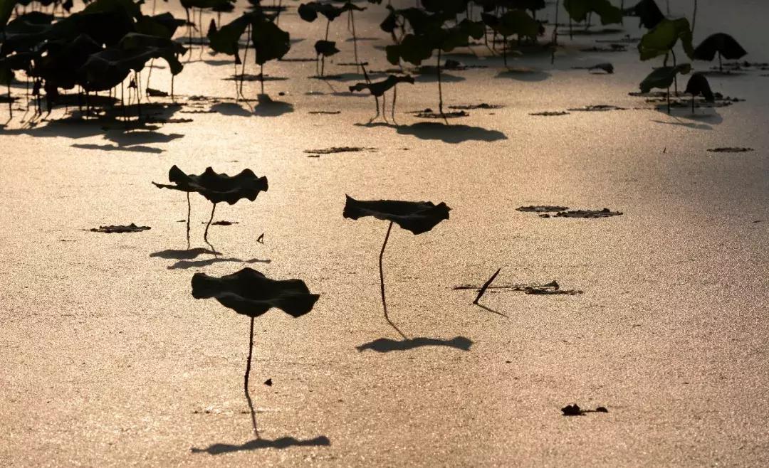 筑梦8年,承包1600亩土地,打造亲子版唐顿庄园,体验庄主生活