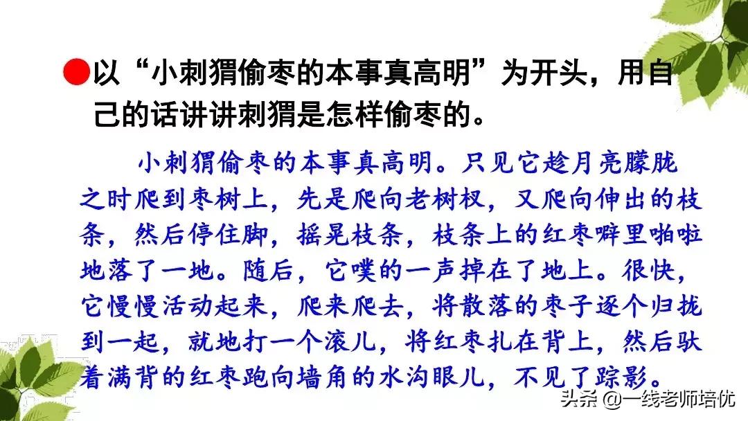 带刺的朋友三年级上册,三年级语文带刺的朋友课文知识点