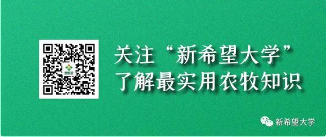 母猪胀气打什么针,母猪胀气最快的解决办法