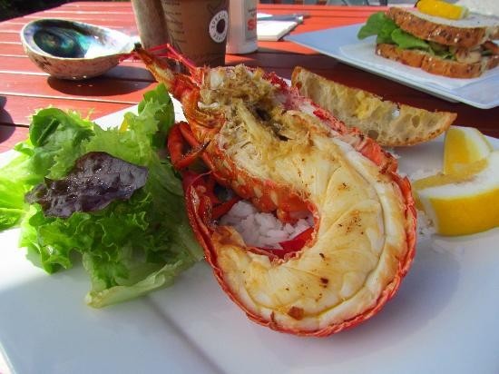 新西兰自由行攻略最全,当你想出去旅游时