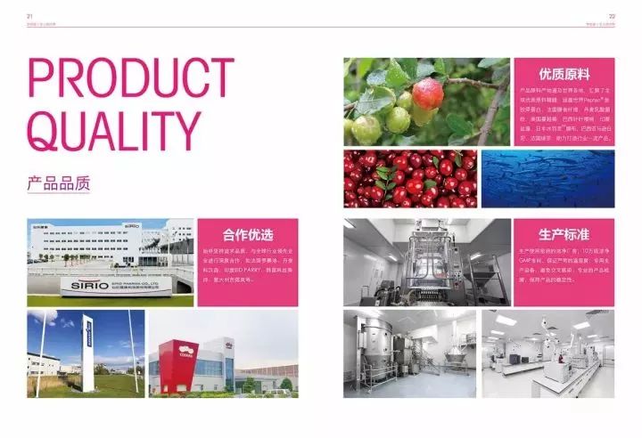 伊的家在哪里,对伊的家的评价