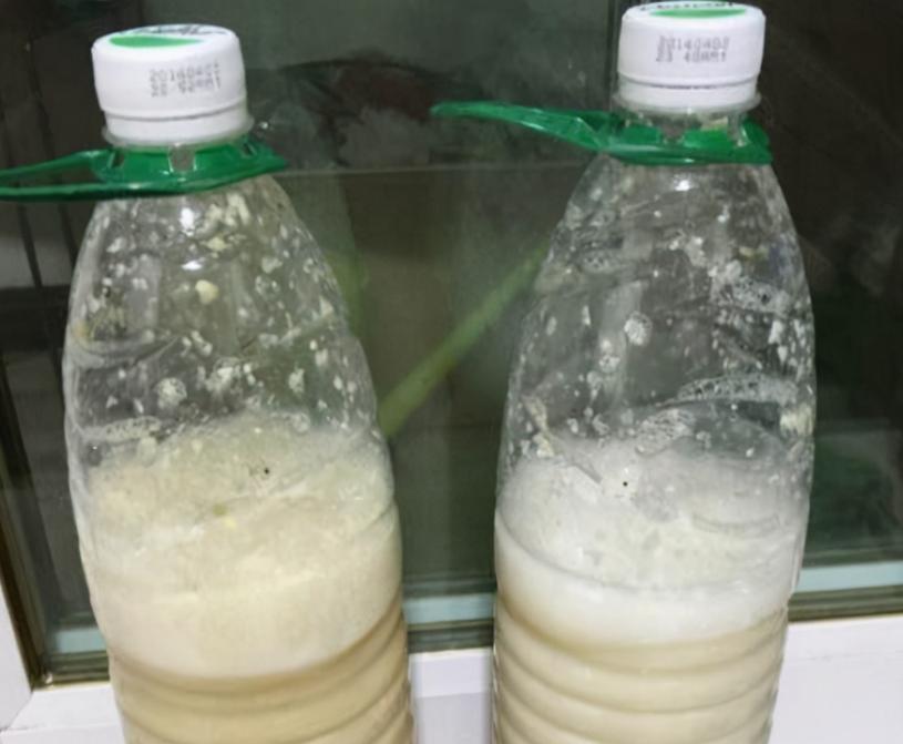 养花黄豆肥怎么做不臭,家里用黄豆怎样自制养花营养肥