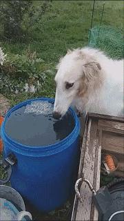 科普一下喝水的技巧,喝水也有大讲究正确方式学起来