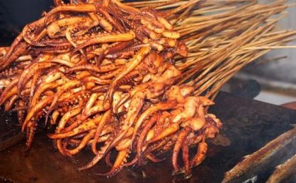 章鱼是外星生物竟然有三颗心脏,章鱼九个大脑三个心脏