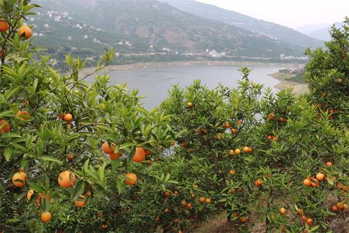 从地摊经济的现实意义，找出地摊经济突然“火爆”的原因。