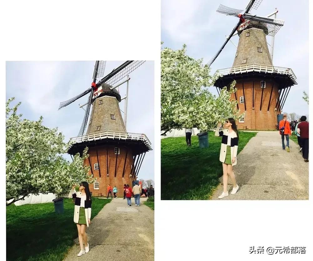 荷兰小镇郁金香盛开,荷兰小镇郁金香花海