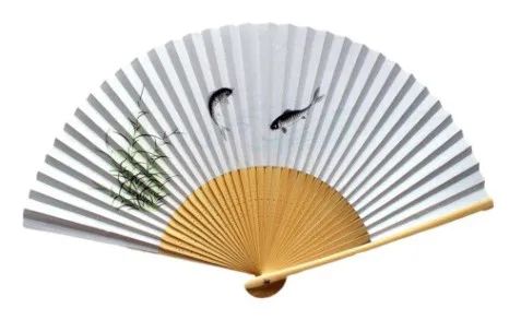 苏州好看的球场,亚洲杯苏州足球场