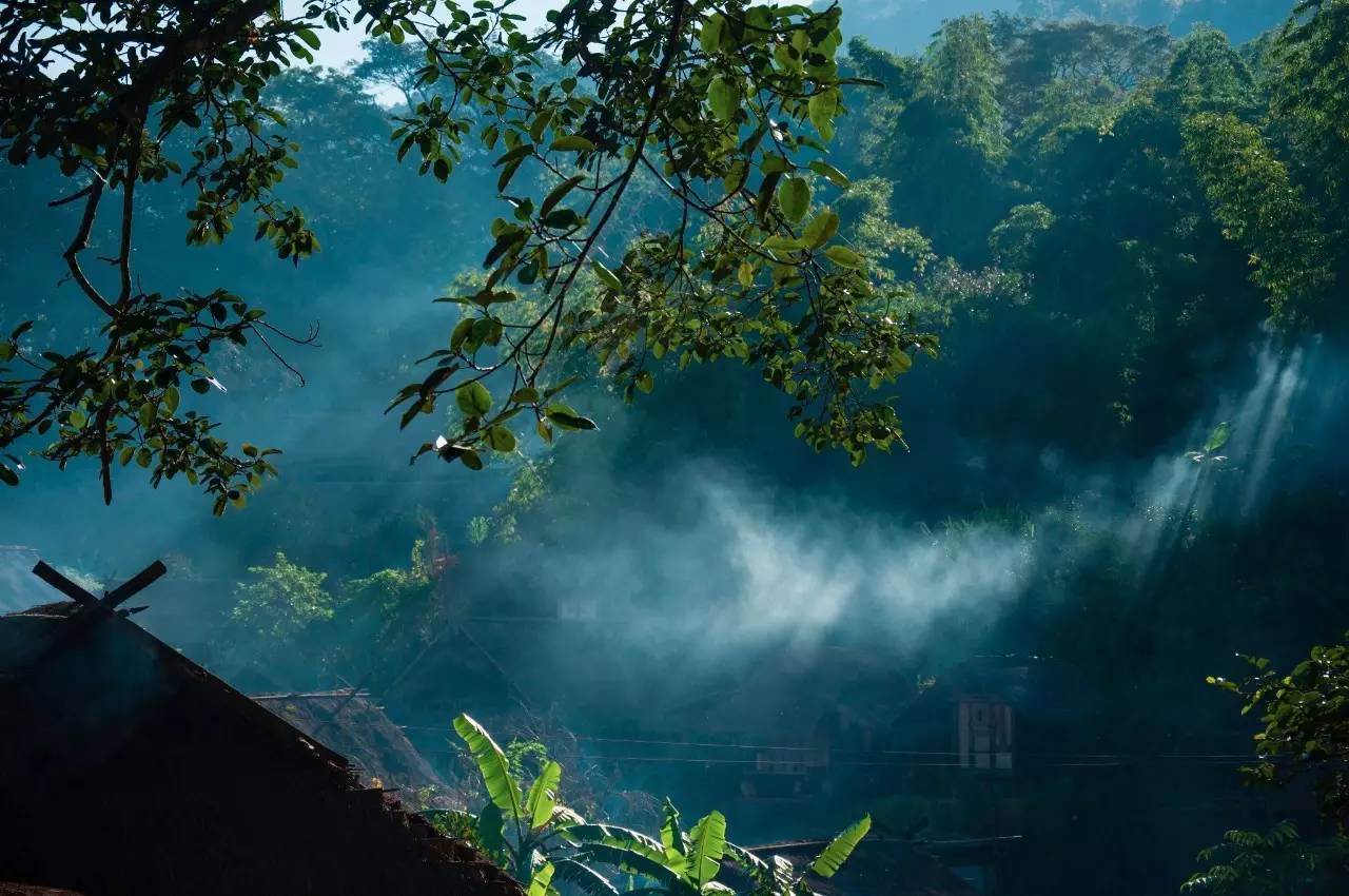 2021浜戝崡鍗佸ぇ鍚嶅搧,浜戝崡鍗佸ぇ鍚嶅搧