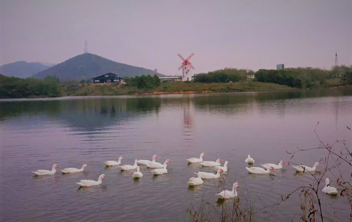 大连铭湖牧场十一还值得去吗,大连铭湖牧场多大面积