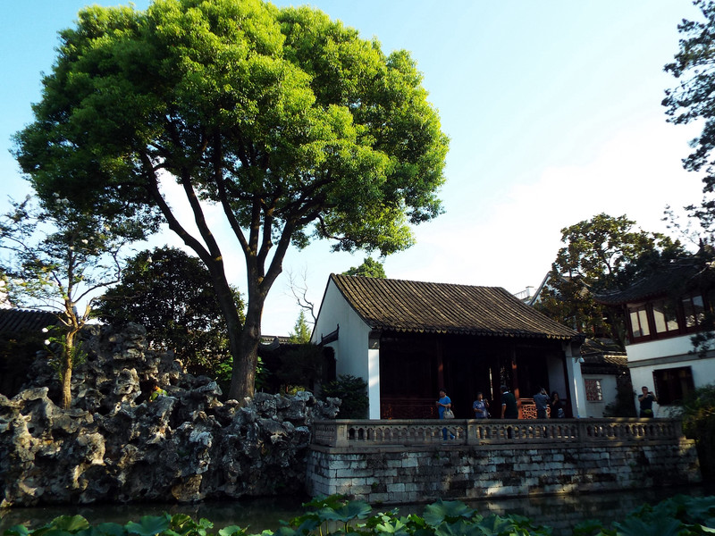 苏州古典园林中的狮子林,在苏州有哪些值得去的景点