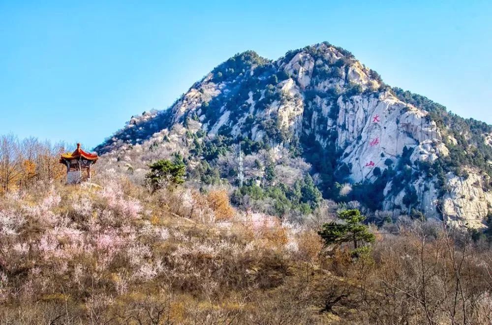 京郊四月美景,京郊四月