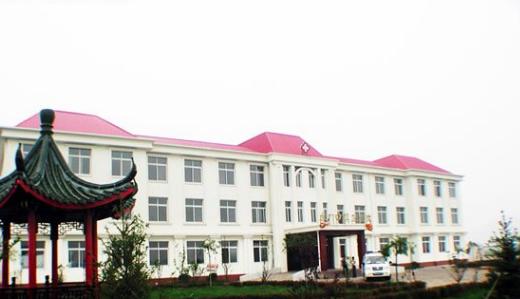 河北发展最好的乡镇,河北最强乡镇