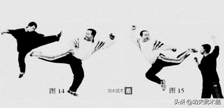 世界综合格斗十大凶狠腿法,最凶狠的格斗腿法