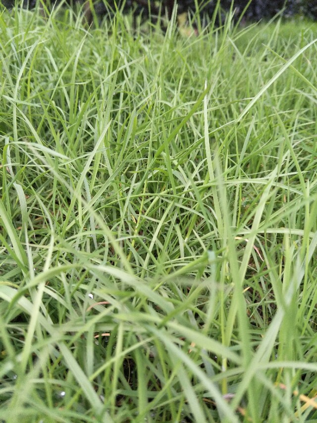 无话不谈的友谊会因为微商买卖而慢慢的发生变化？