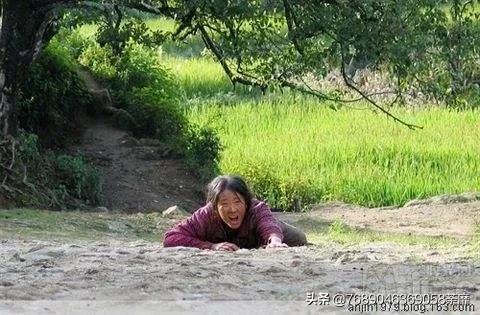 伟大母爱让人泪奔,母爱是伟大的可是现实是残酷的